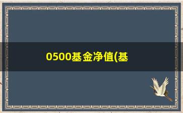 “0500基金净值(基金净值排行查询)”/