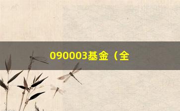 “090003基金（全面介绍090003基金的投资步骤和业绩表现）”/