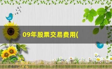 “09年股票交易费用(股票交易成本怎么计算)”/