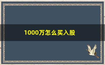 “1000万怎么买入股票(1000万买股票怎么玩)”/