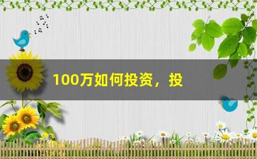 “100万如何投资，投资专家教你如何理财”/