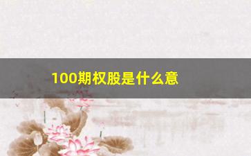 “100期权股是什么意思(100期权等于多少股票)”/