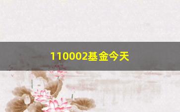 “110002基金今天净值查询及分析”/