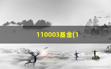 “110003基金(110003基金今天净值)”/