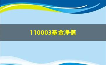 “110003基金净值(110003基金净值查询今天最新净值)”/