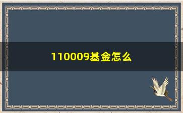 “110009基金怎么样？风险如何？”/