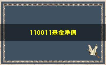 “110011基金净值查询及分析”/