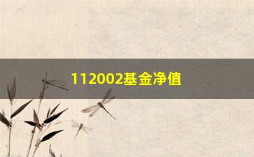 “112002基金净值分析（为何这只基金成为了投资者的热门选择）”/