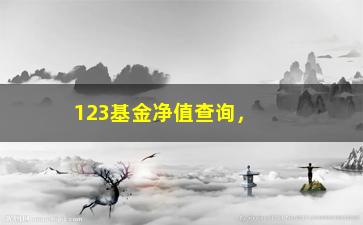 “123基金净值查询，查看最新基金净值和走势”/