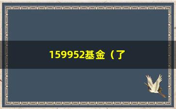 “159952基金（了解159952基金的投资步骤和风险控制）”/