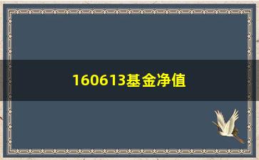 “160613基金净值分析（近期表现及投资建议）”/