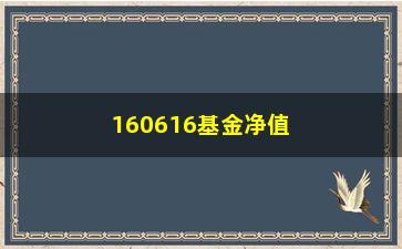 “160616基金净值查询及分析”/