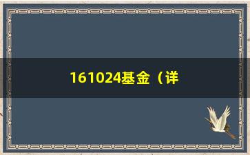 “161024基金（详解161024基金的投资步骤和业绩表现）”/