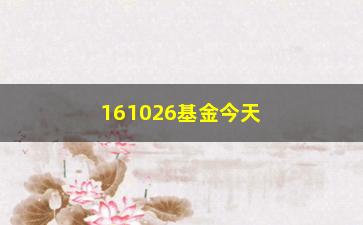 “161026基金今天净值查询（了解今日基金净值变化情况）”/