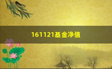 “161121基金净值（最新基金净值查询）”/