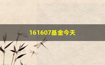 “161607基金今天净值(161607基金今天净值估值)”/