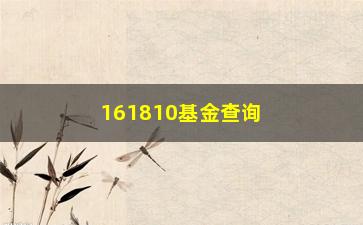 “161810基金查询（了解161810基金的最新行情和走势）”/