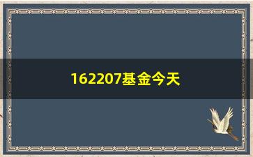 “162207基金今天净值(162207泰达基金净值)”/