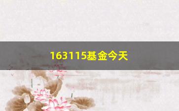 “163115基金今天净值公布（最新净值及涨跌情况）”/