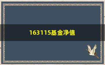 “163115基金净值（最新数据分析）”/