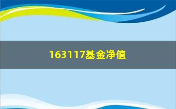 “163117基金净值（最新净值查询及分析）”/