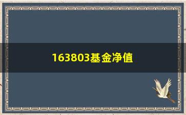 “163803基金净值，实时更新”/