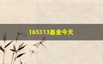 “165313基金今天净值（最新基金净值公布）”/