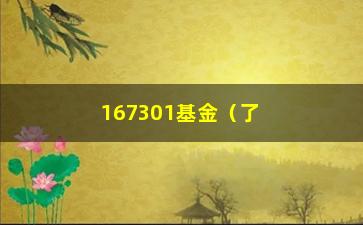 “167301基金（了解167301基金的投资收益和风险）”/