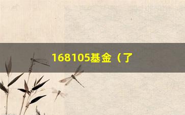 “168105基金（了解该基金的投资收益和风险介绍）”/