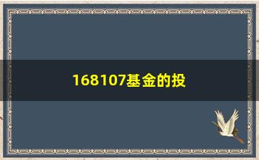 “168107基金的投资步骤和表现如何？”/