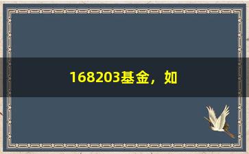 “168203基金，如何实现一年翻倍的投资神话？”/