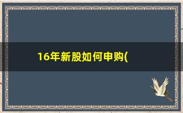 “16年新股如何申购(新股如何申购成功)”/