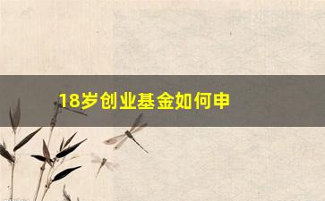 “18岁创业基金如何申请并获取资助？”/