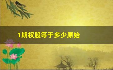 “1期权股等于多少原始股权，解析期权股和原始股权的关系”/