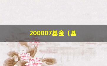 “200007基金（基金的投资步骤和收益分析）”/