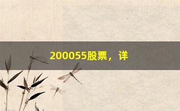 “200055股票，详解200055股票的投资价值和风险分析”/