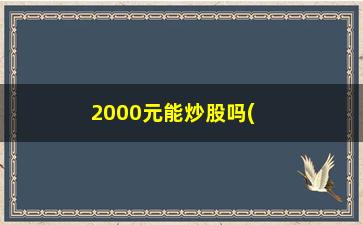 “2000元能炒股吗(炒股心得体会2000字)”/