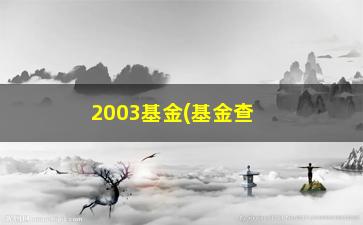 “2003基金(基金查询2003)”/