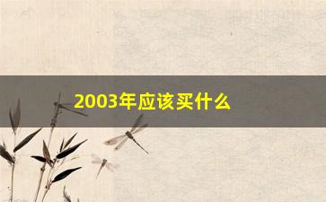 “2003年应该买什么股票(2003年买什么股票最挣钱)”/