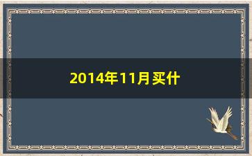 “2014年11月买什么股票好”/