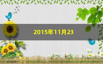 “2015年11月23日买什么股票”/