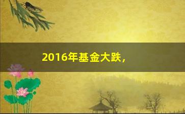 “2016年基金大跌，如何避免亏损？（一位基金经理的实战经验分享）”/