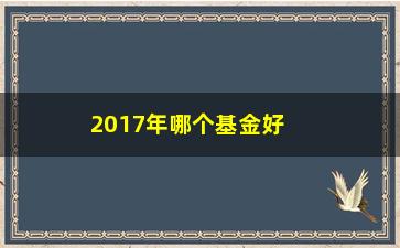 “2017年哪个基金好（投资专家推荐的基金产品）”/