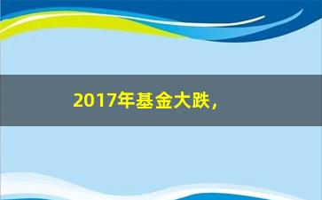 “2017年基金大跌，如何规避风险并获得收益？”/