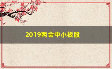 “2019两会中小板股票为什么涨”/