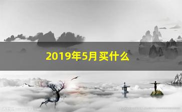 “2019年5月买什么股票(3000买什么手机好2019)”/