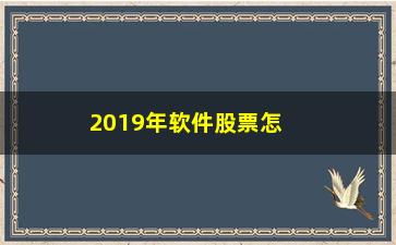 “2019年软件股票怎么涨这么多(2019年软件股票怎么涨这么多呢)”/