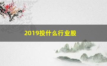 “2019投什么行业股票(2019年什么板块的股票好)”/