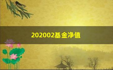 “202002基金净值如何查询和分析？”/