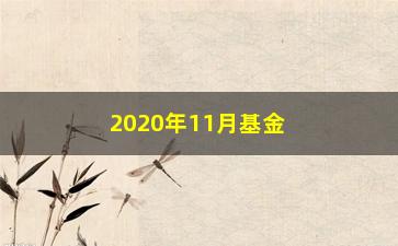 “2020年11月基金净值排行榜（哪些基金收益最高？）”/